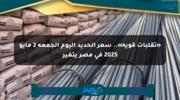 «تقلبات قوية».. سعر الحديد اليوم الجمعة 2 مايو 2025 في مصر يتغير